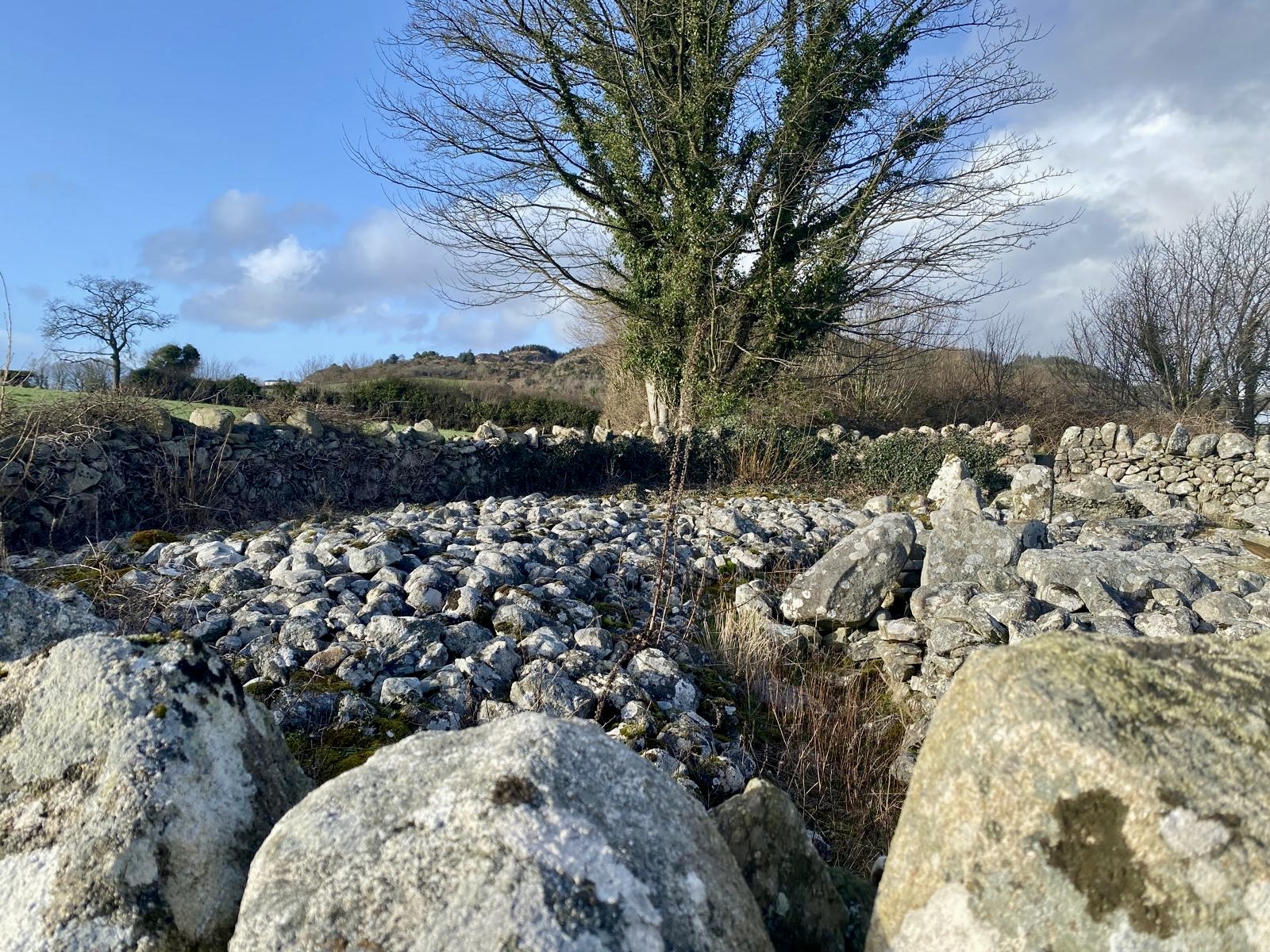 Happy St. Patrick's Day, Lessons from the Irish Journey